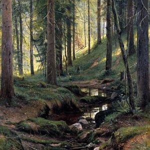 Meet your Posher, Ariella